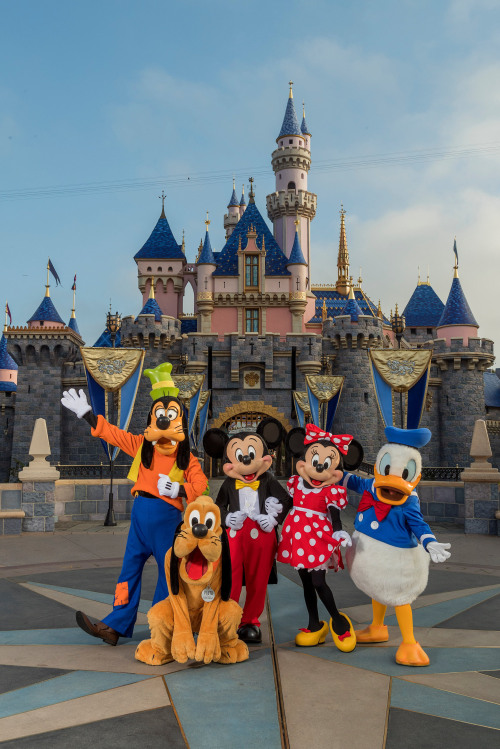 goofy, pluto, mickey, minnie, and donald greet visitors outside Sleeping Beauty Castle at Disneyland