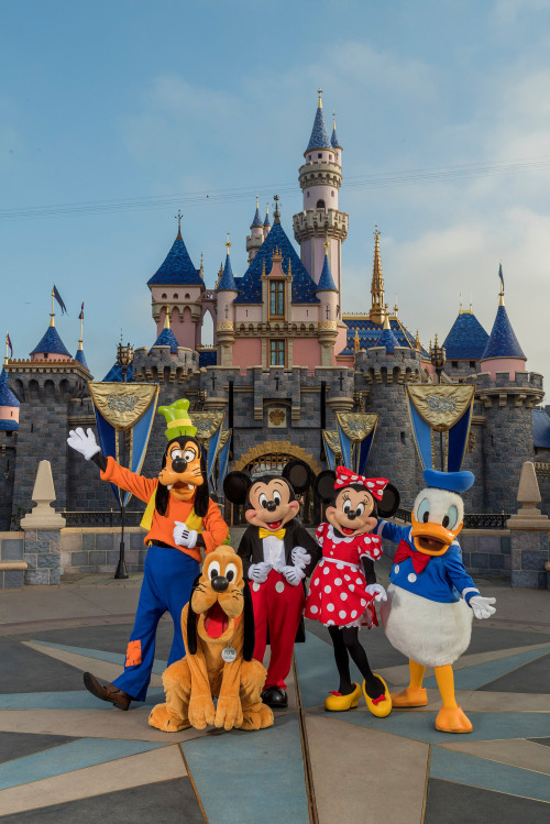 How to Make Disneyland Park Reservations in 2023 - Trips With Tykes