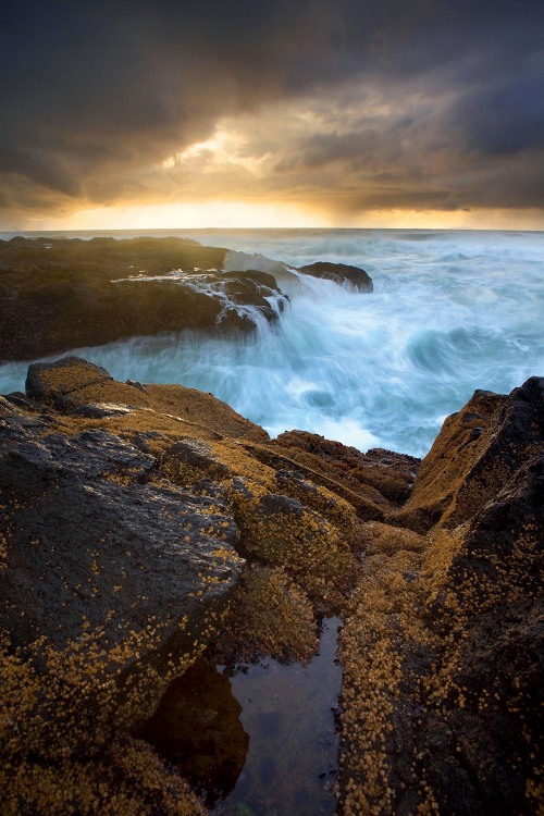 churning waves crash onshore near the 804 Trail in Yachats, Oregon