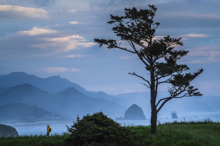 Cypress tree silhouette overlooks stormy Oregon coast from Ecola State Park, picture