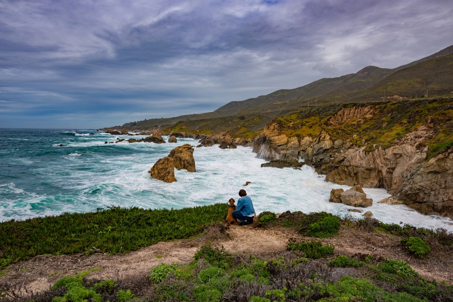 AAA Member with his dog on the coast in Carmel, California.