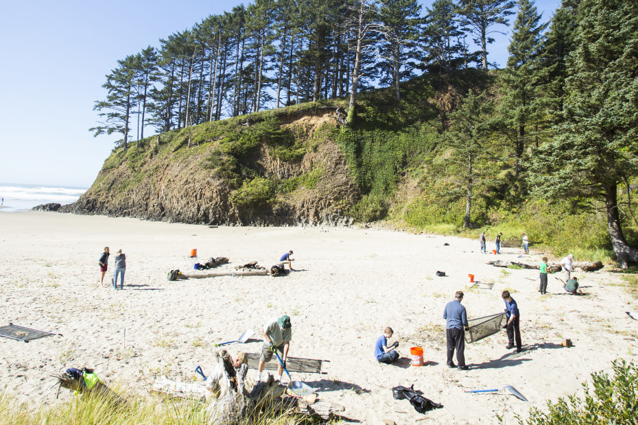 Volunteers remove plastic pollution from the sand in Cannon Beach, Oregon.