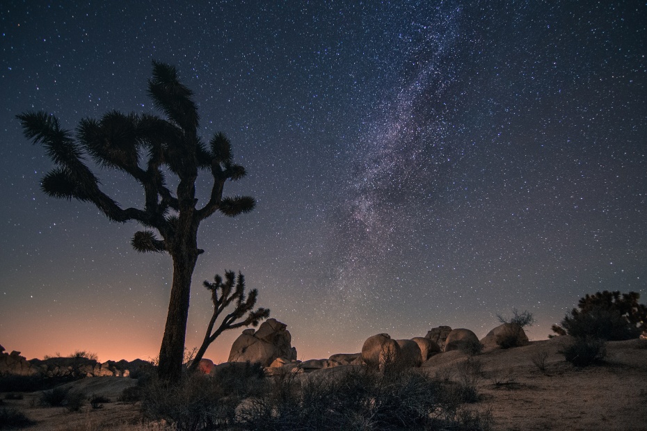 The Milky Way over Joshua Tree National Park.