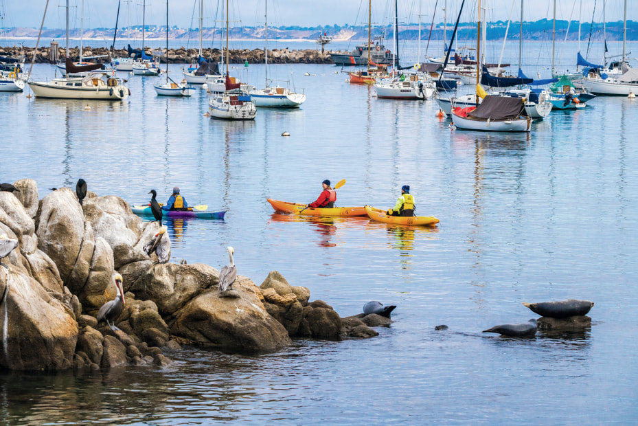 A group on a Monterey Bay Kayaks excursion.