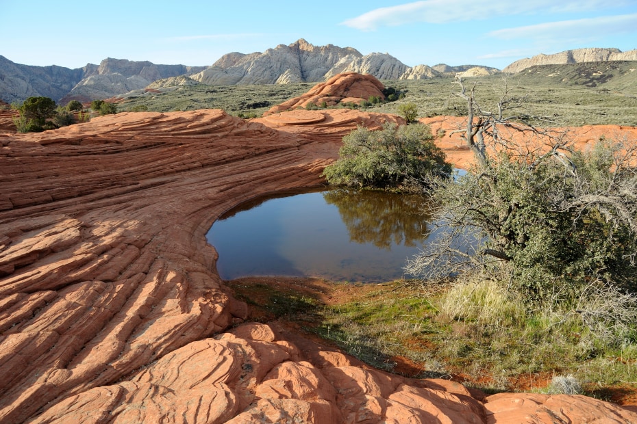 Petrified sand dunes in Snow Canyon State Park.