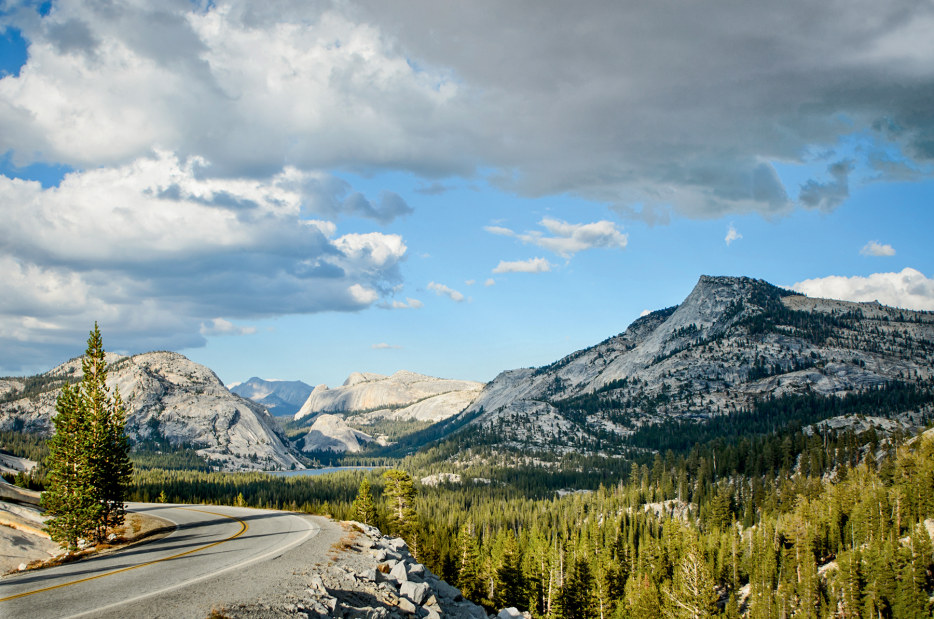 Tioga Road bends as it approaches Tenaya Lake and the granite domes in Yosemties National Park's high country