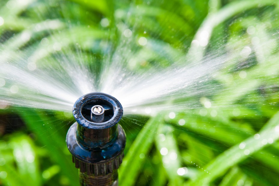 A sprinkler sprays a lawn.