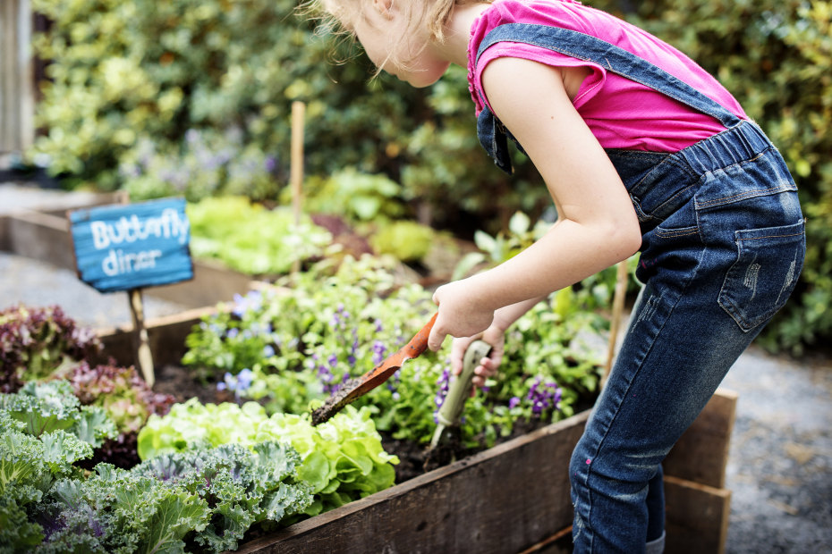 A girl digs in a raised garden bed.