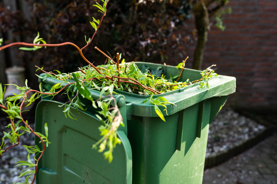 A green compost bin with yard scraps.