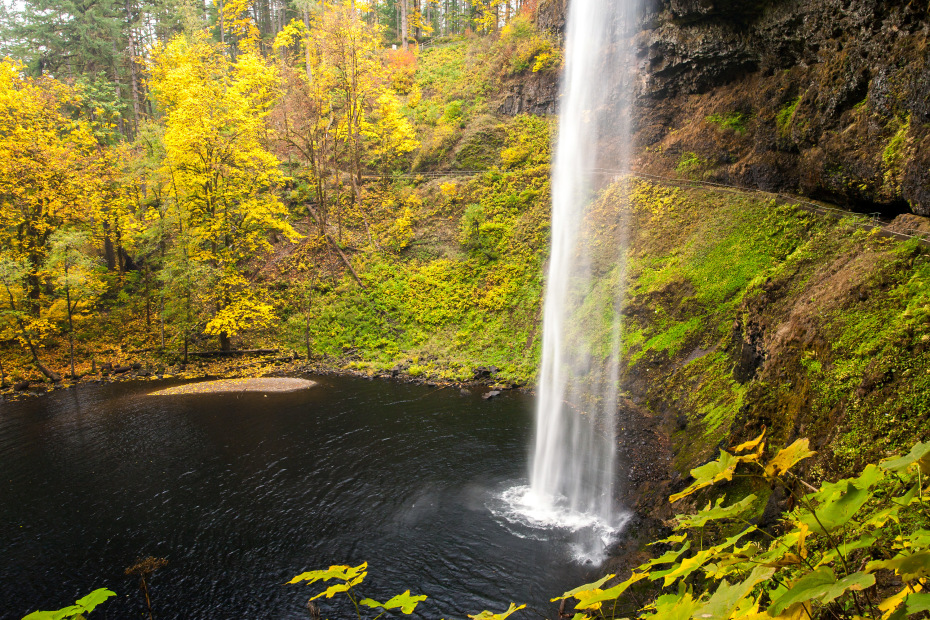 South Falls surrounded by fall color in Silver Falls State Park.