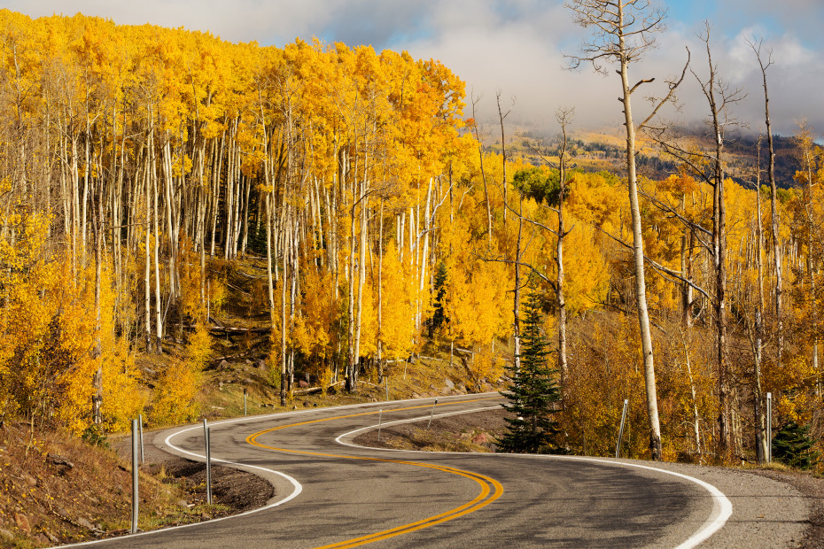 Golden leaves flank Byway 12 in Utah.