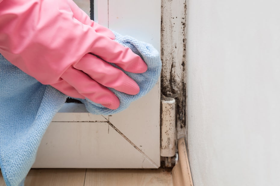 hand wearing a pink glove removes mold from a door jamb with a blue rag