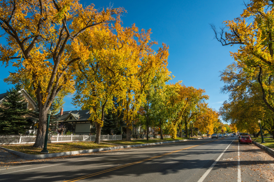 Mt. Vernon Street lined with changing leaves in Prescott.