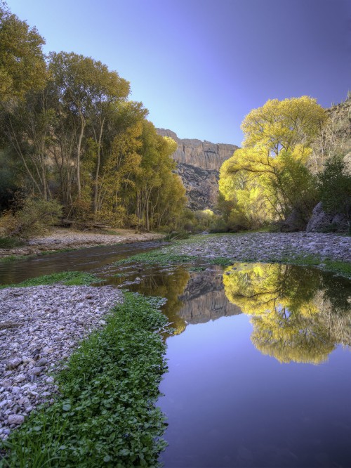 Aravaipa Canyon fall color.