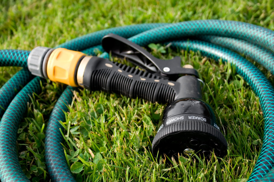 A green garden hose coiled up on the lawn.