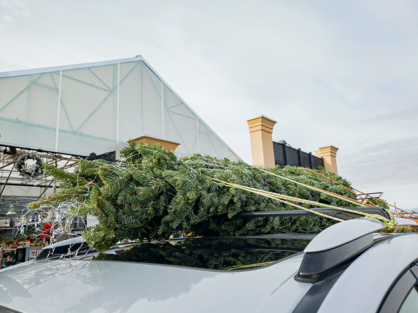 a Christmas tree in netting secured to the rack on top of a car with building in background