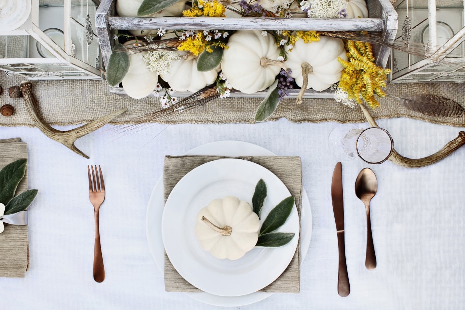 White pumpkins decorate a Thanksgiving table set with reusable plates, cutlery, and glasses.