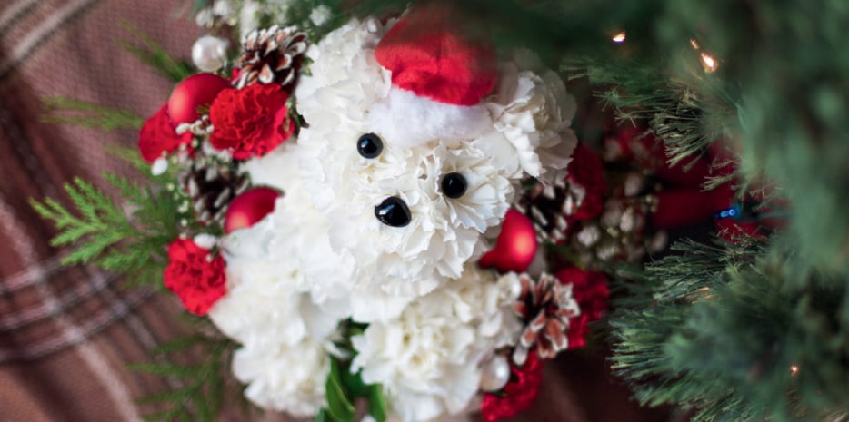 Floral arrangement resembling small dog made of white and red carnations, bulb ornaments and pine cones