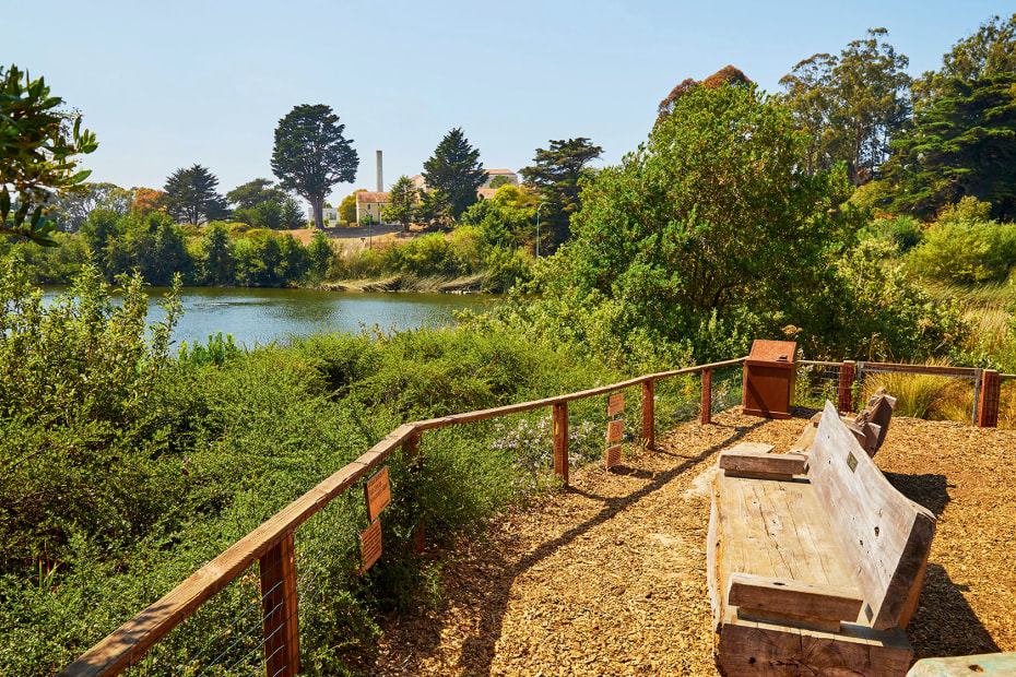 A solid split log bench overlooks a pond in Mountain Lake Park in San Francisco's Inner Richmond neighborhood