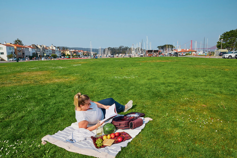 woman reading book reclines on blanket along with picnic ingredients at Marina Green park in San Francisco's Marina District