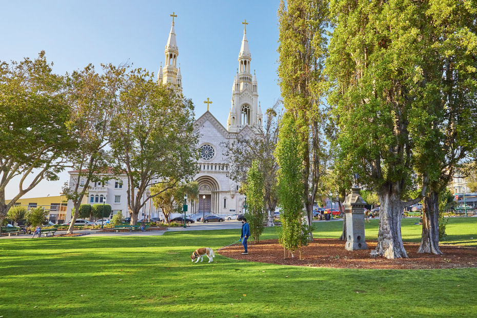 view across Washington Square park towards Saints Peter and Paul Church in San Francisco's North Beach neighborhood