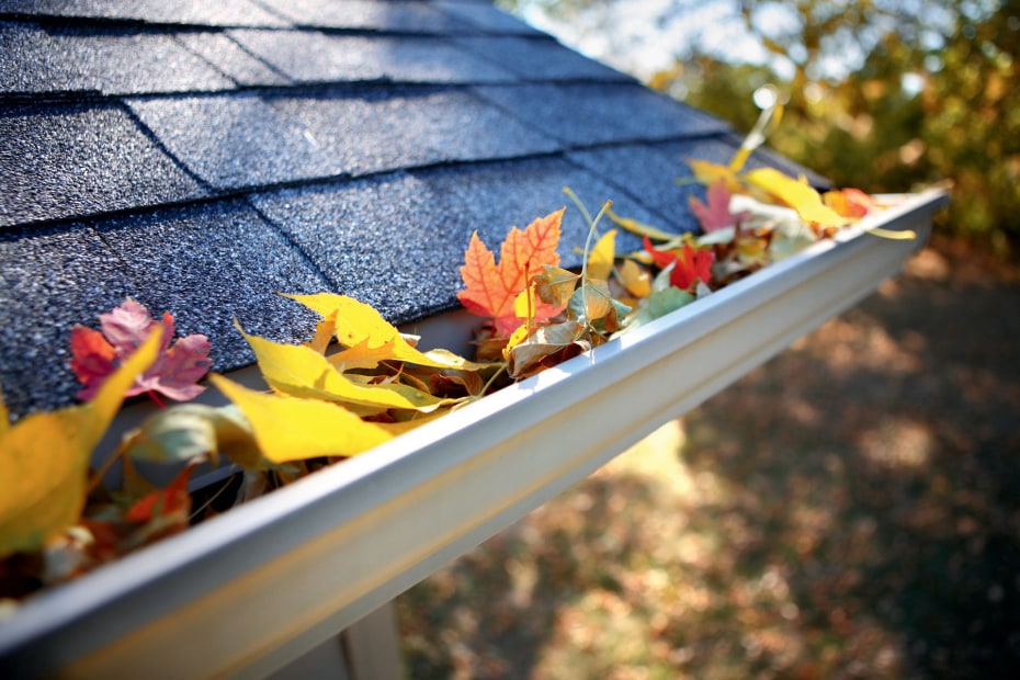 Fall leaves piled inside a roof gutter.