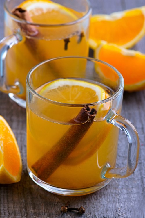 a virgin hot toddy with orange slices and a cinnamon stick.