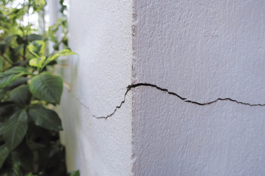 A cracked foundation hidden behind a plant.