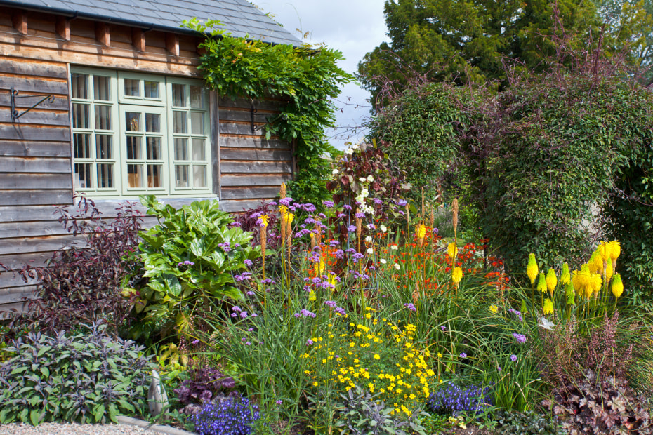 A garden of native plants.