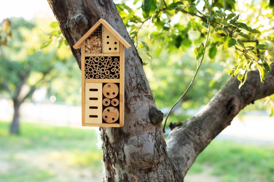 An insect home hanging in a tree.