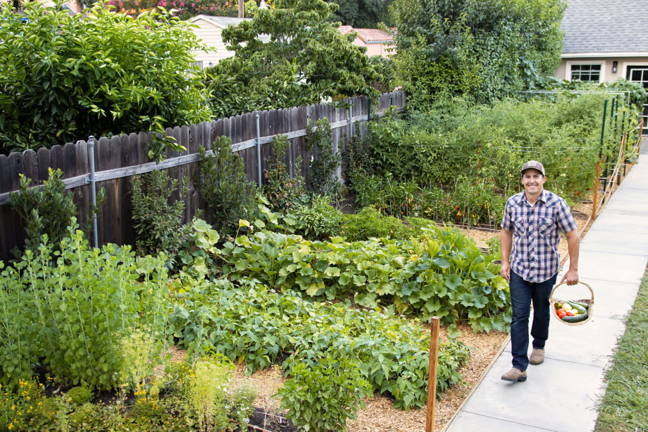 Kyle Hagerty walks the path through his lush urban edible garden.