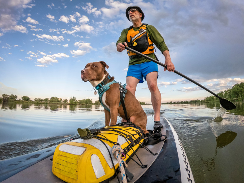 A man paddleboards with his dog and a dry bag.