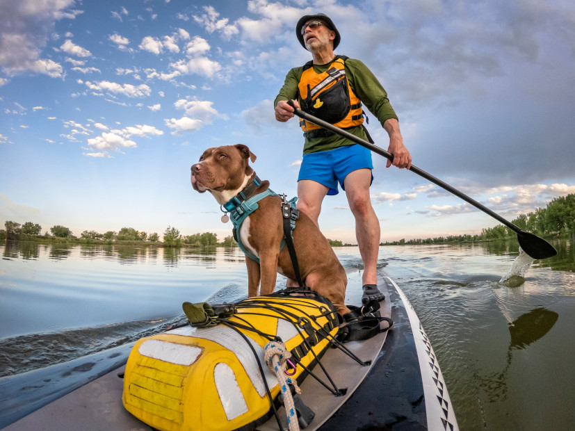 Ultimate Guide to Kayaking with Dogs: Tips, Safety, and Adventure Ideas ·  The Wildest