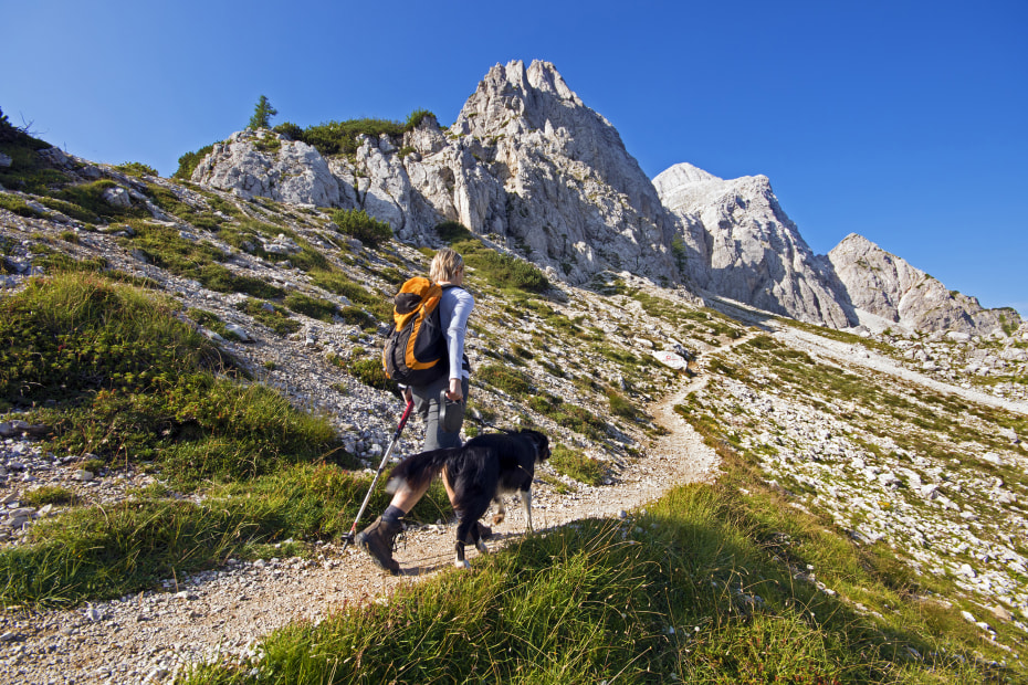 A woman hikes with her dog up a mountain trail.