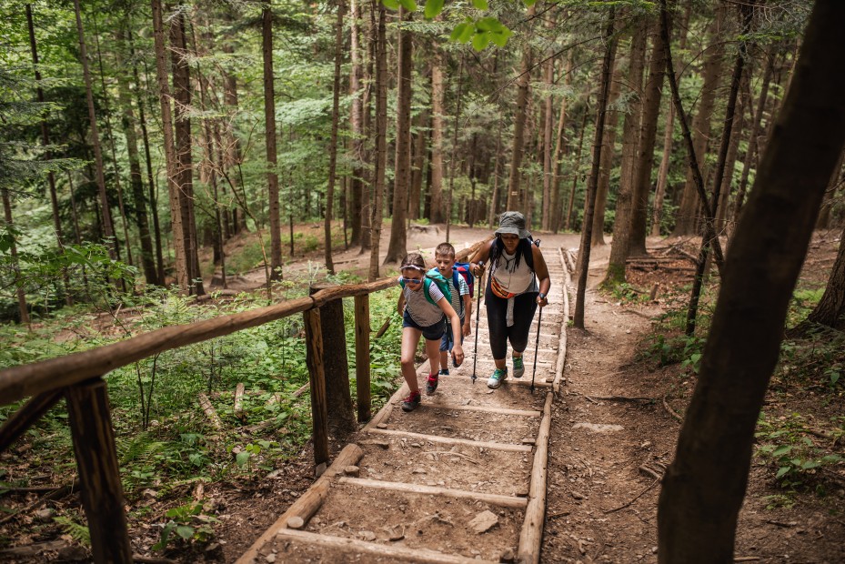 A mom hikes with her two children in a forest.