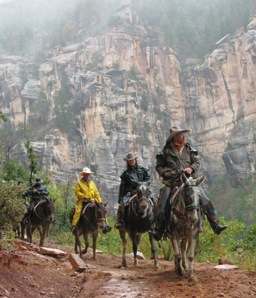 Visitors ride mules inside Grand Canyon National Park.