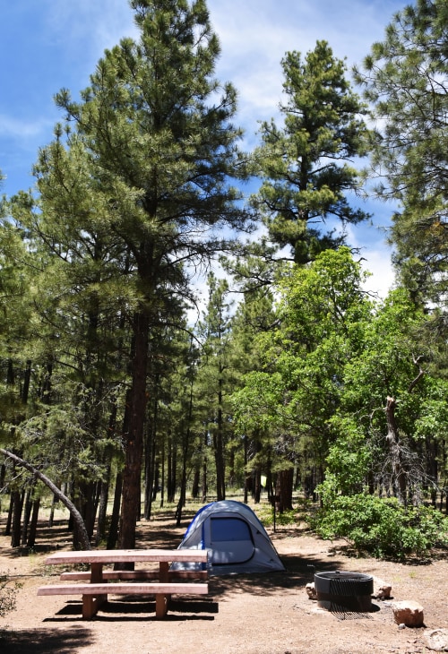 A campsite at Grand Canyon National Park's Ten-X Campground.