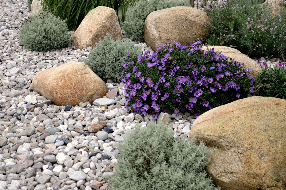 Rocks surround plants in a fire-resistant yard.