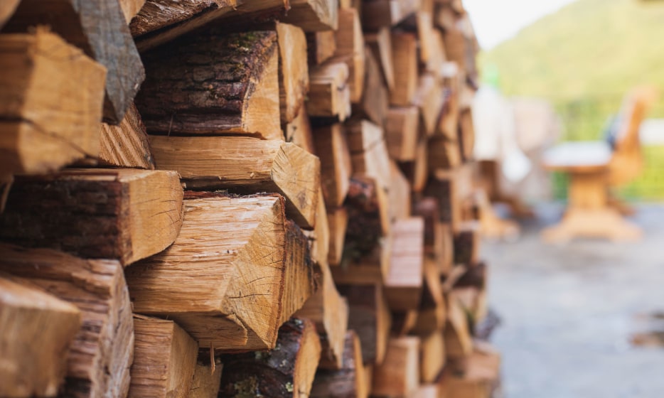 Firewood stacked outside.