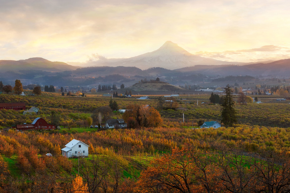 Mt. Hood peaks out over the Columbia River Gorge in Oregon.