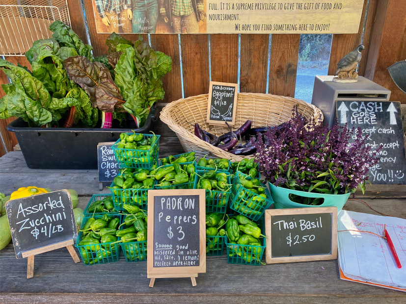 Vegetables and herbs for sale at Little Wings Farmstand.