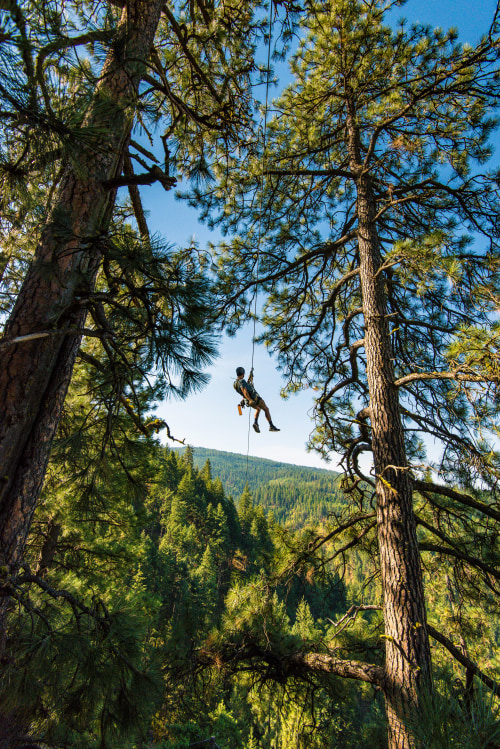 A person hangs above the trees on a tour with Timberline Adventures.