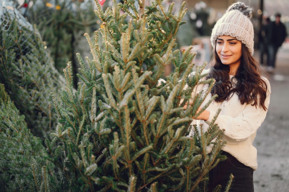 A woman looks at the needles of a tree in a Christmas tree lot.