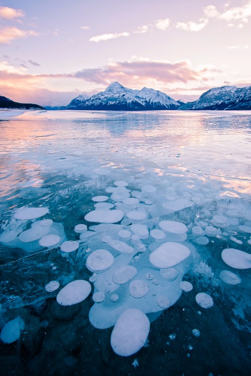 Methane bubbles suspended in the ice at Abraham Lake in Alberta, Canada.