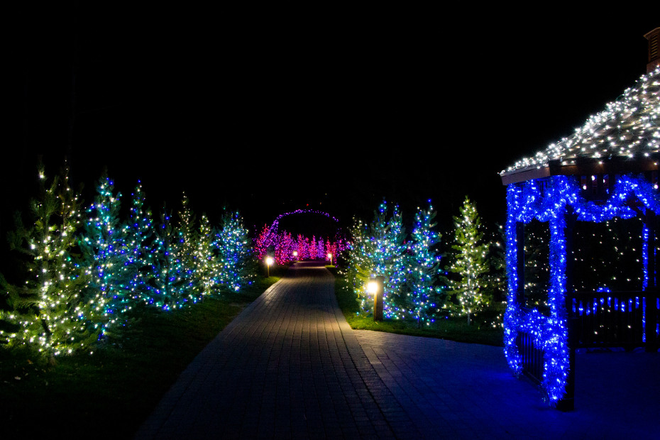 A path is lit by holiday lights in Thanksgiving Point in Utah.