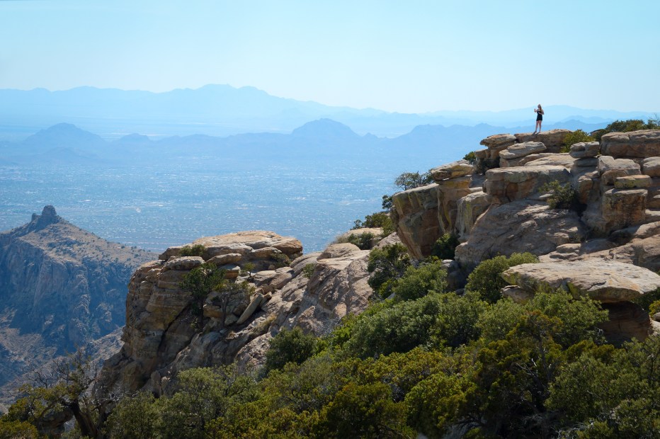 Panoramic view of Santa Catalina Mountains on the way to Mount Lemmon Summit, Coronado National Forest in Arizona