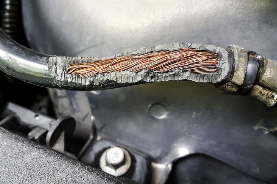 Damage on rubber of electricity wire in the car from rat bites.