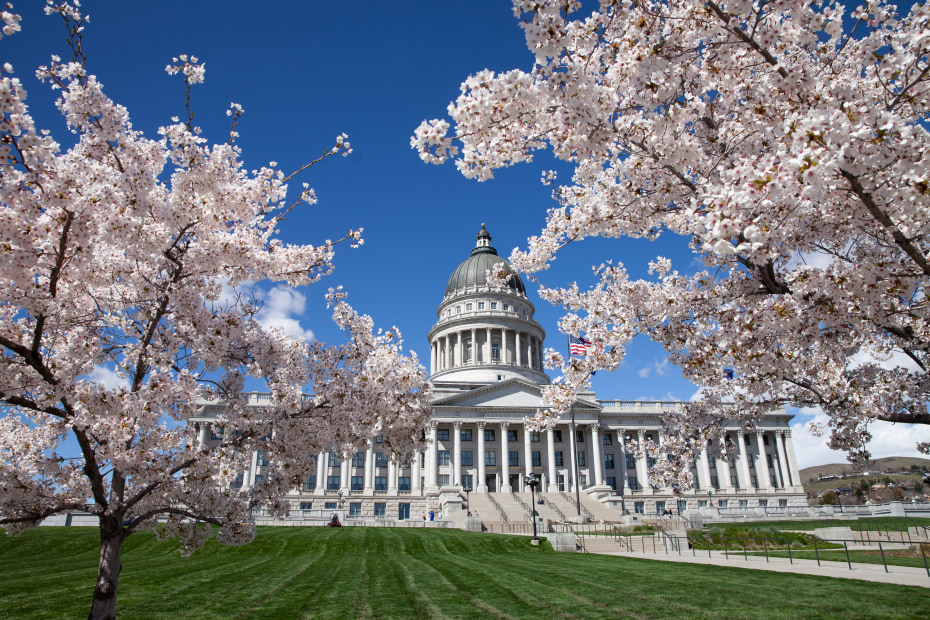 Cherry blossom in full bloom at Utah State Capitol Building in Salt Lake City.