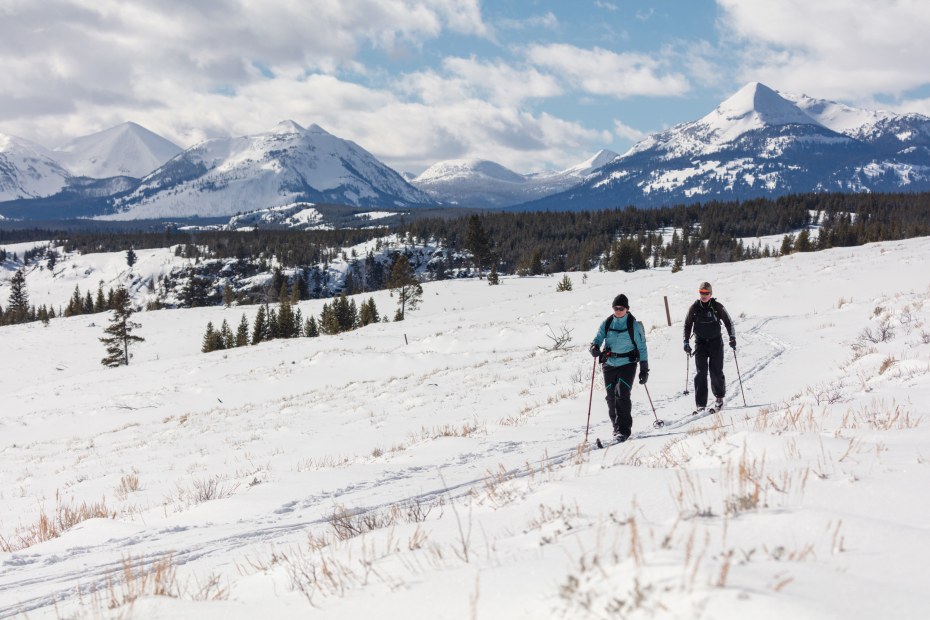 Cross country skiers in Yellowstone National Park.