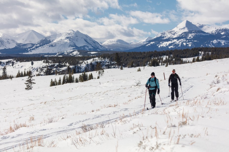 What to do in Yellowstone National Park in Spring | Via